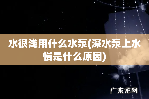 深水泵上水慢是什么原因 水很浅用什么水泵