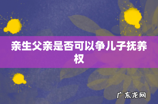 亲生父亲是否可以争儿子抚养权