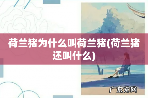 荷兰猪还叫什么 荷兰猪为什么叫荷兰猪