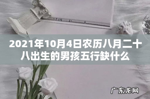 2021年10月4日农历八月二十八出生的男孩五行缺什么