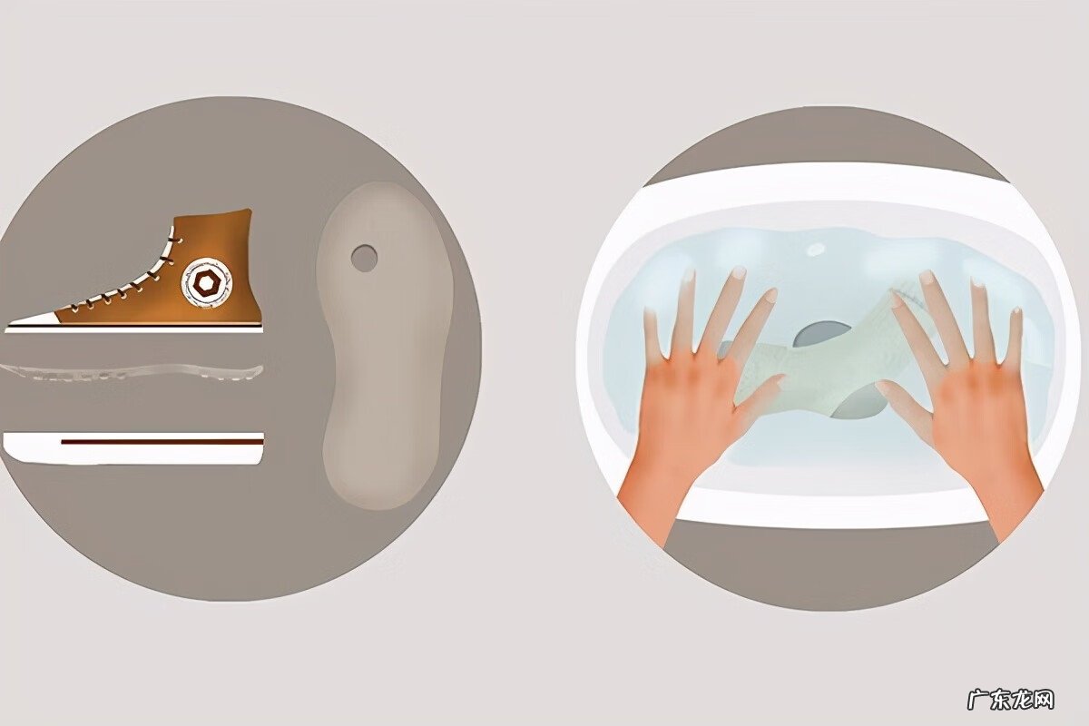 鸡眼是什么样子图片 鸡眼图片