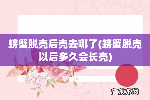 螃蟹脱壳以后多久会长壳 螃蟹脱壳后壳去哪了