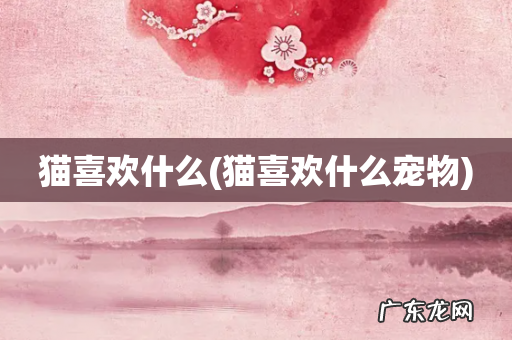 猫喜欢什么宠物 猫喜欢什么