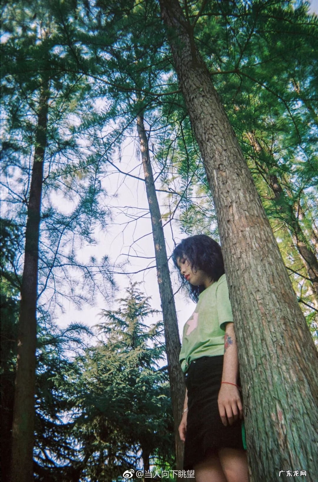 连山易风水 风水师易连山