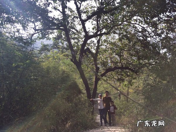 桂平著名风水宝地详情一览表 平山风水宝地