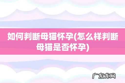 怎么样判断母猫是否怀孕 如何判断母猫怀孕