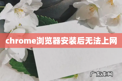chrome浏览器安装后无法上网