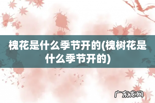 槐树花是什么季节开的 槐花是什么季节开的