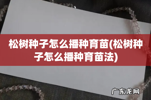 松树种子怎么播种育苗法 松树种子怎么播种育苗