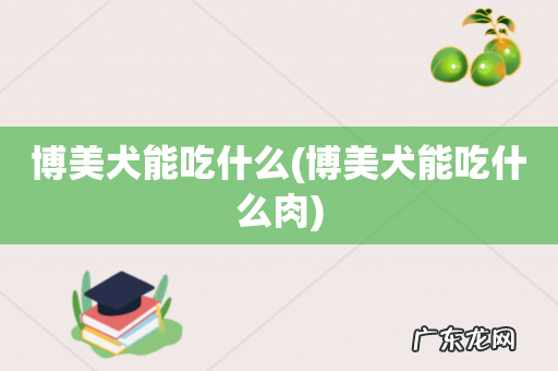 博美犬能吃什么肉 博美犬能吃什么