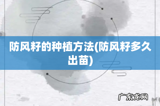 防风籽多久出苗 防风籽的种植方法