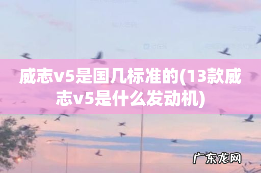 13款威志v5是什么发动机 威志v5是国几标准的