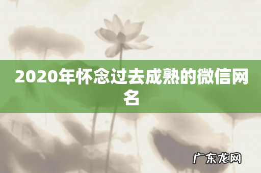 2020年怀念过去成熟的微信网名