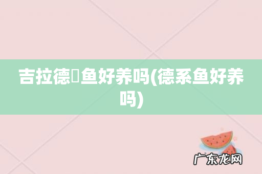 德系鱼好养吗 吉拉德鳉鱼好养吗