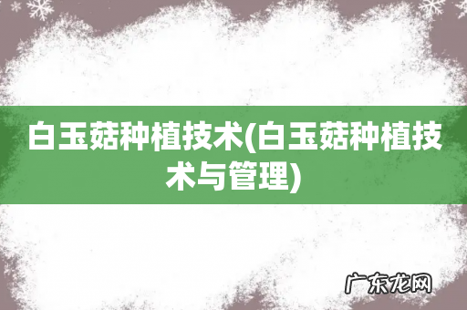 白玉菇种植技术与管理 白玉菇种植技术