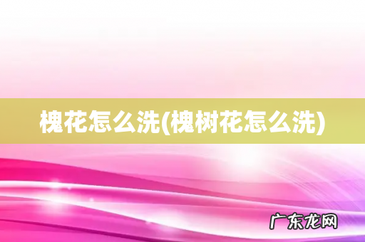 槐树花怎么洗 槐花怎么洗