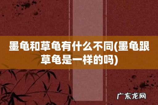 墨龟跟草龟是一样的吗 墨龟和草龟有什么不同