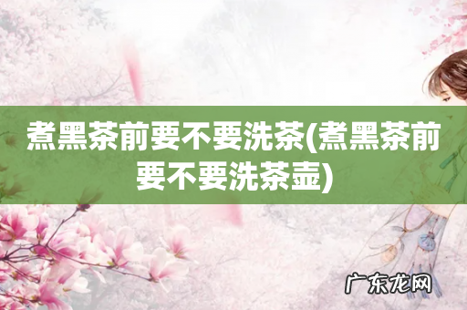 煮黑茶前要不要洗茶壶 煮黑茶前要不要洗茶