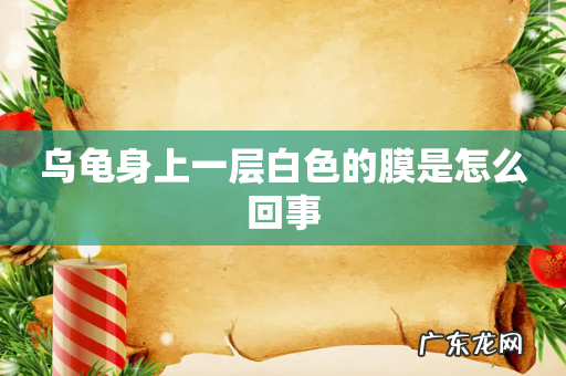 乌龟身上一层白色的膜是怎么回事
