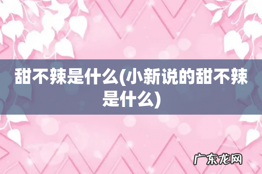 小新说的甜不辣是什么 甜不辣是什么