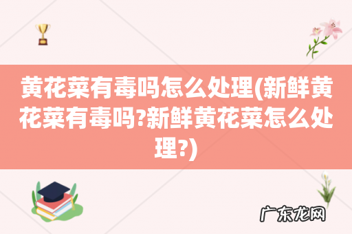 新鲜黄花菜有毒吗?新鲜黄花菜怎么处理? 黄花菜有毒吗怎么处理