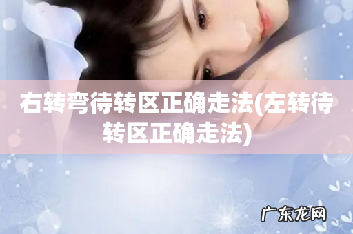 左转待转区正确走法 右转弯待转区正确走法