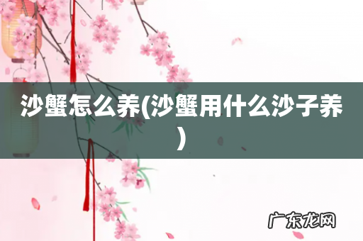 沙蟹用什么沙子养 沙蟹怎么养