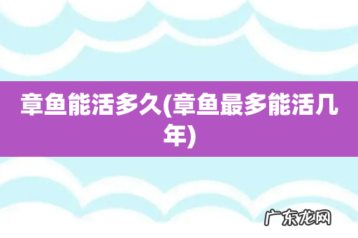 章鱼最多能活几年 章鱼能活多久