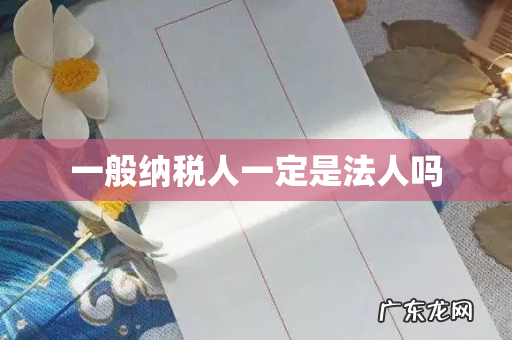 一般纳税人一定是法人吗