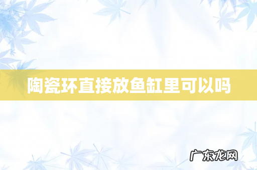 陶瓷环直接放鱼缸里可以吗