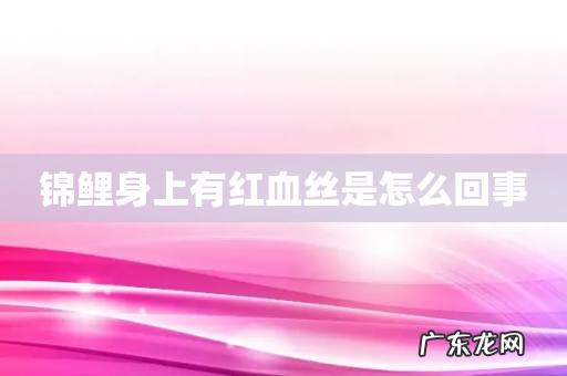 锦鲤身上有红血丝是怎么回事