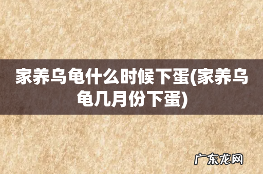 家养乌龟几月份下蛋 家养乌龟什么时候下蛋