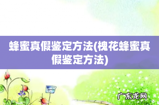 槐花蜂蜜真假鉴定方法 蜂蜜真假鉴定方法