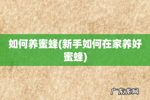 新手如何在家养好蜜蜂 如何养蜜蜂