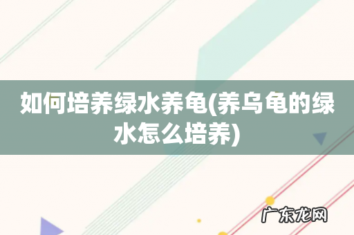 养乌龟的绿水怎么培养 如何培养绿水养龟