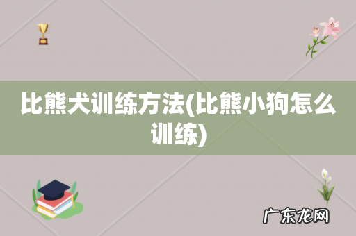 比熊小狗怎么训练 比熊犬训练方法