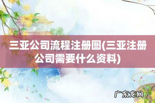 三亚注册公司需要什么资料 三亚公司流程注册图