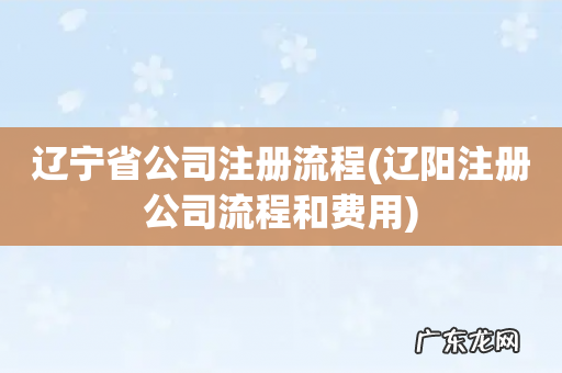 辽阳注册公司流程和费用 辽宁省公司注册流程