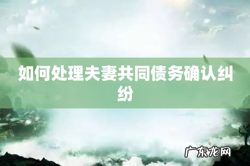 如何处理夫妻共同债务确认纠纷