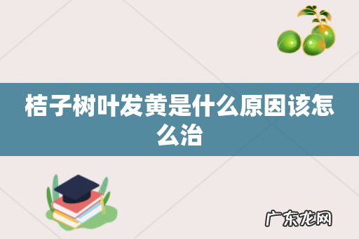 桔子树叶发黄是什么原因该怎么治