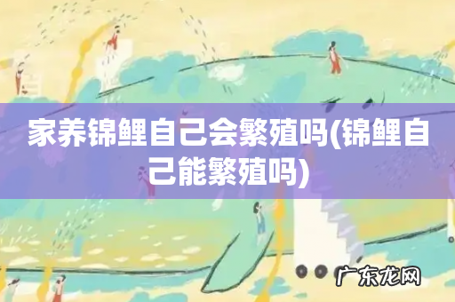 锦鲤自己能繁殖吗 家养锦鲤自己会繁殖吗