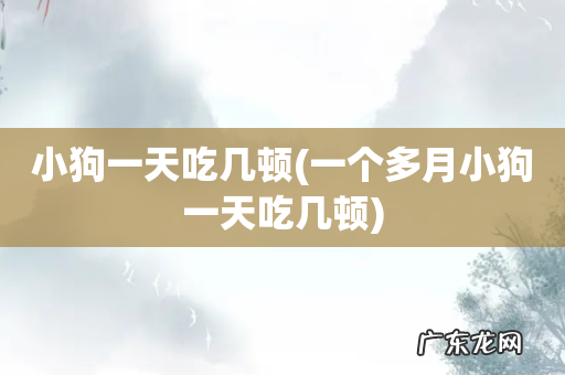 一个多月小狗一天吃几顿 小狗一天吃几顿
