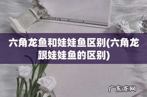 六角龙跟娃娃鱼的区别 六角龙鱼和娃娃鱼区别