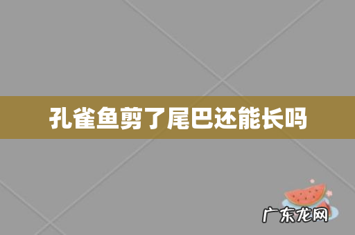 孔雀鱼剪了尾巴还能长吗