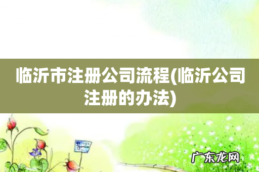 临沂公司注册的办法 临沂市注册公司流程