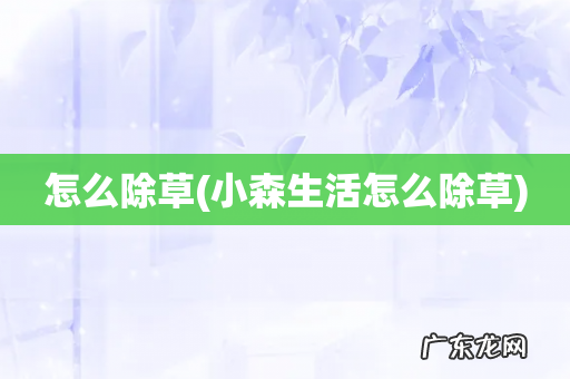 小森生活怎么除草 怎么除草