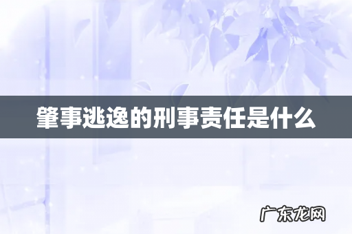 肇事逃逸的刑事责任是什么