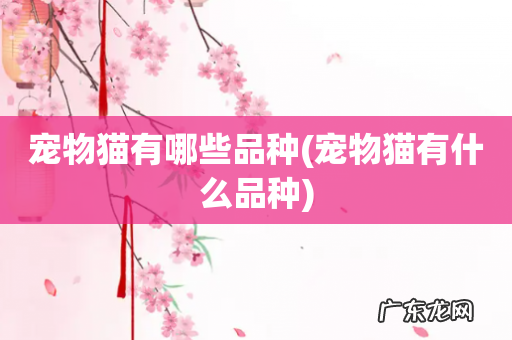 宠物猫有什么品种 宠物猫有哪些品种