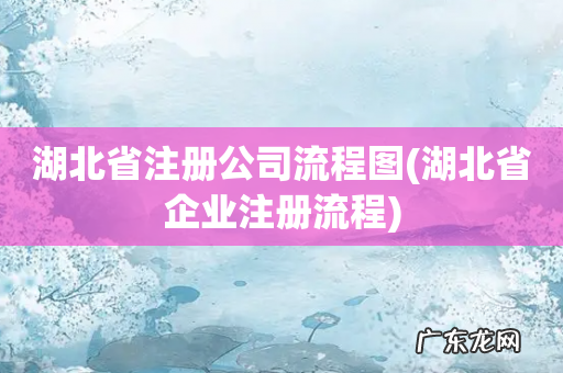 湖北省企业注册流程 湖北省注册公司流程图