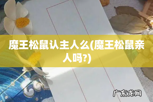 魔王松鼠亲人吗? 魔王松鼠认主人么